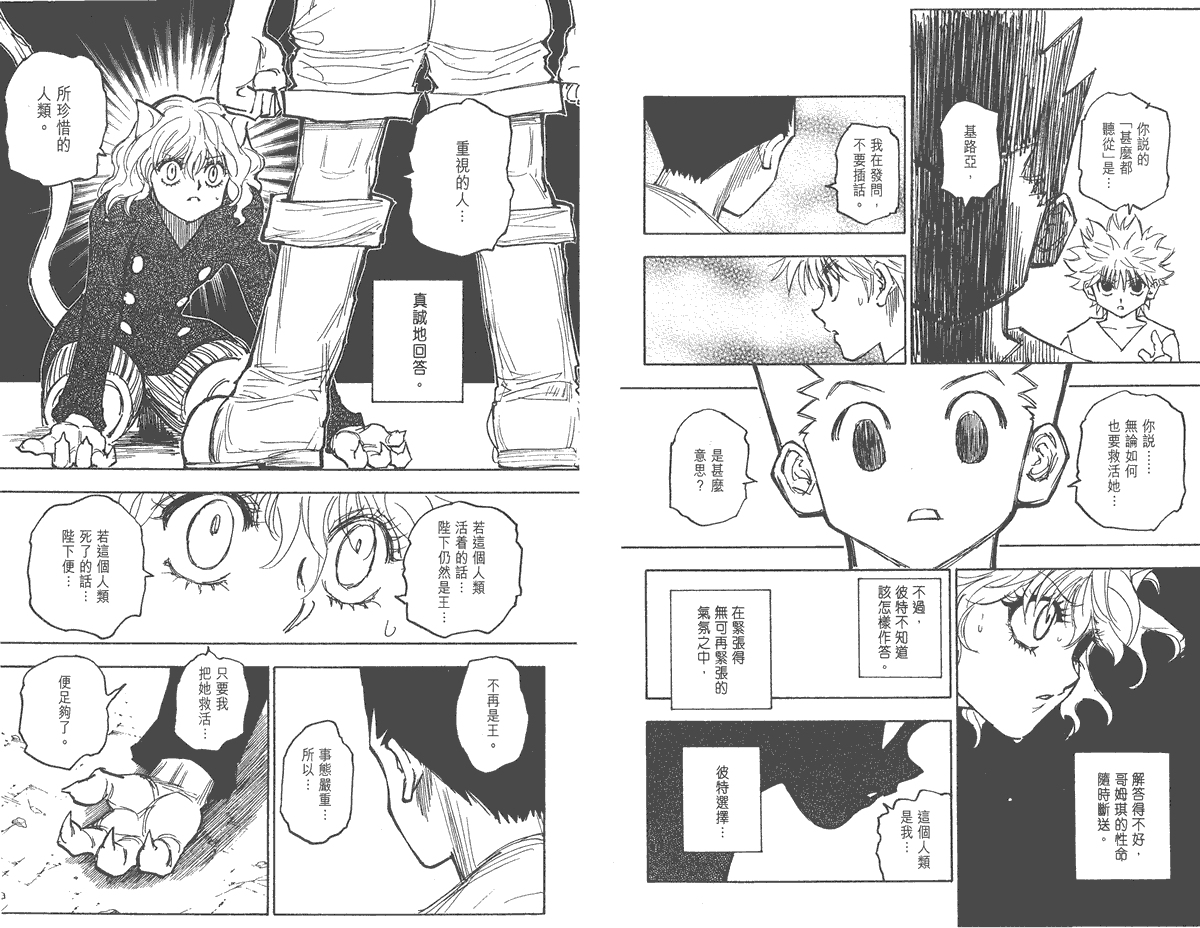 全职猎人第26卷图