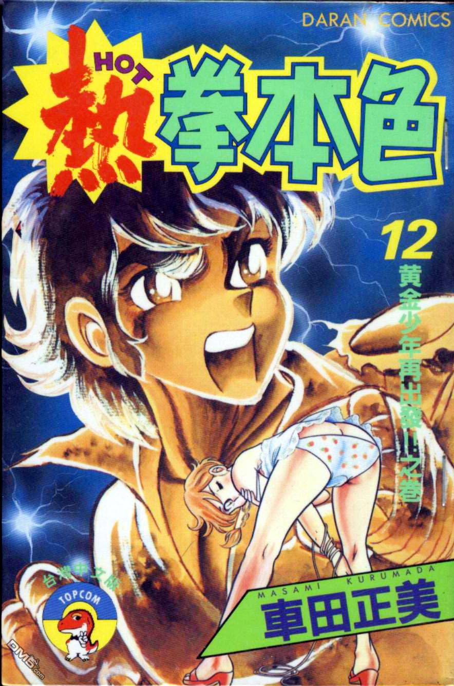 热拳本色第12卷图