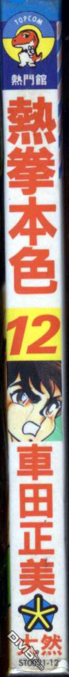 热拳本色第12卷图