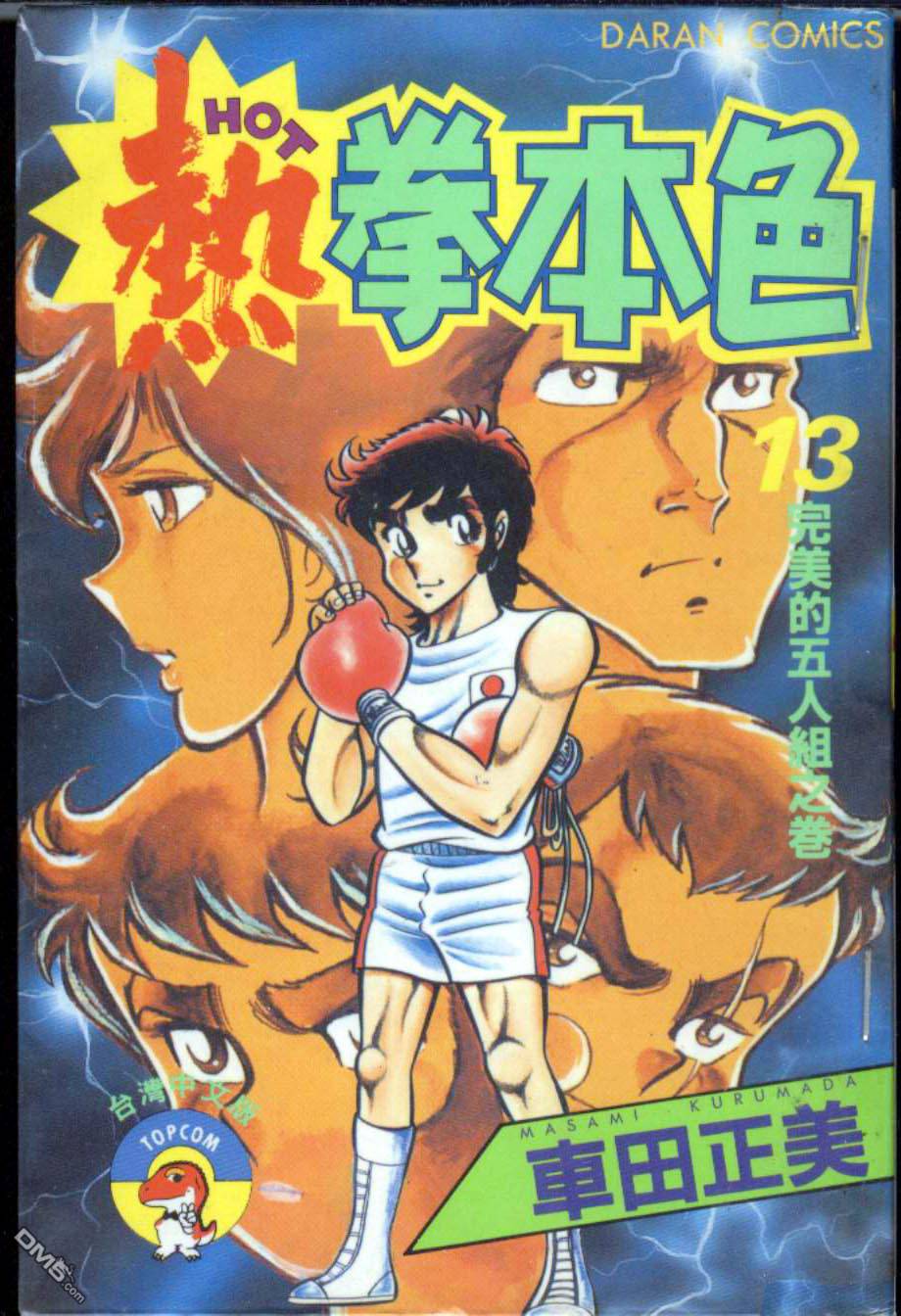 热拳本色第13卷图