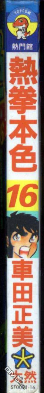 热拳本色第16卷图