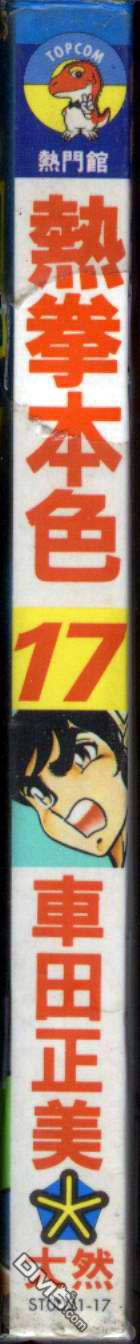 热拳本色第17卷图