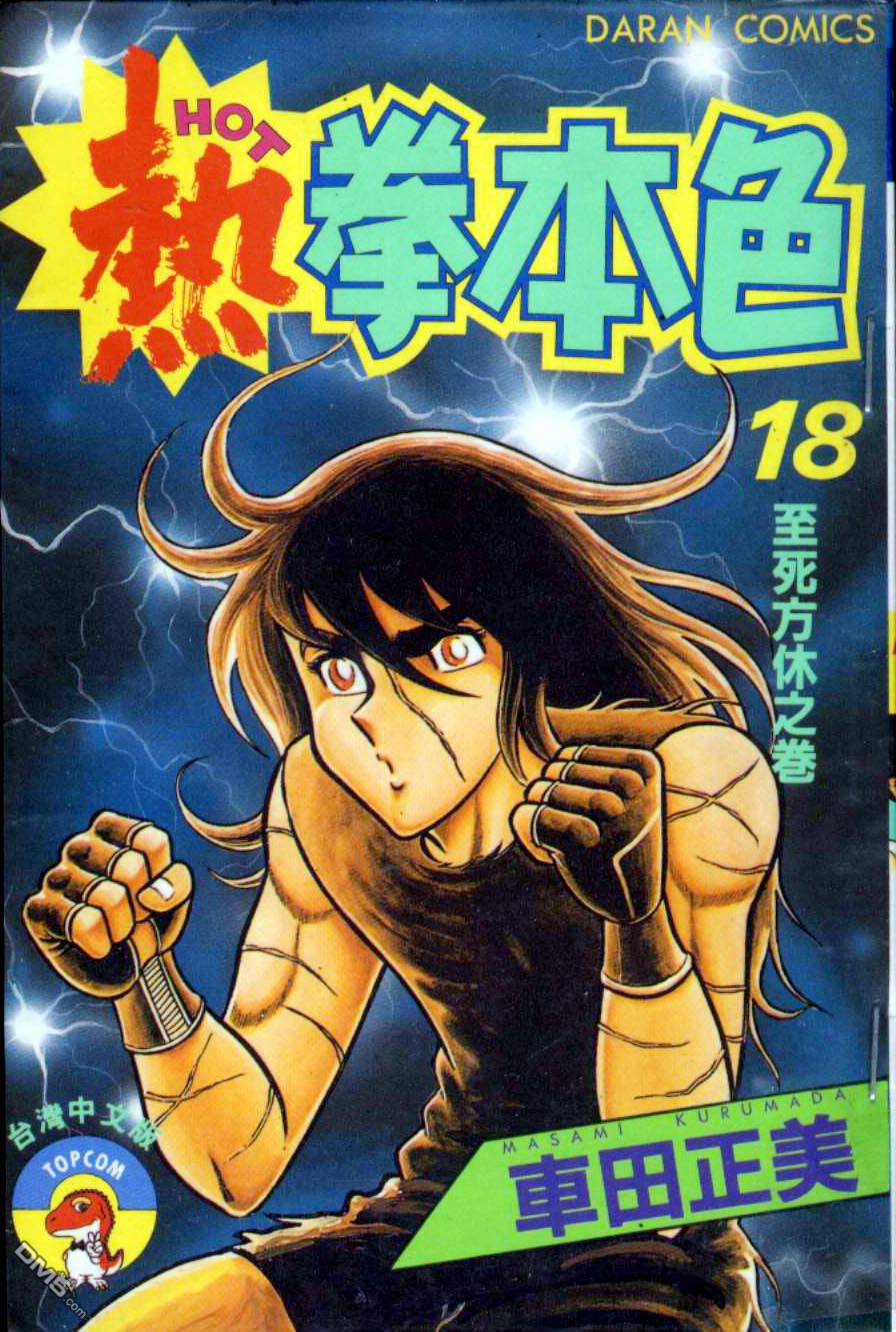 热拳本色第18卷图