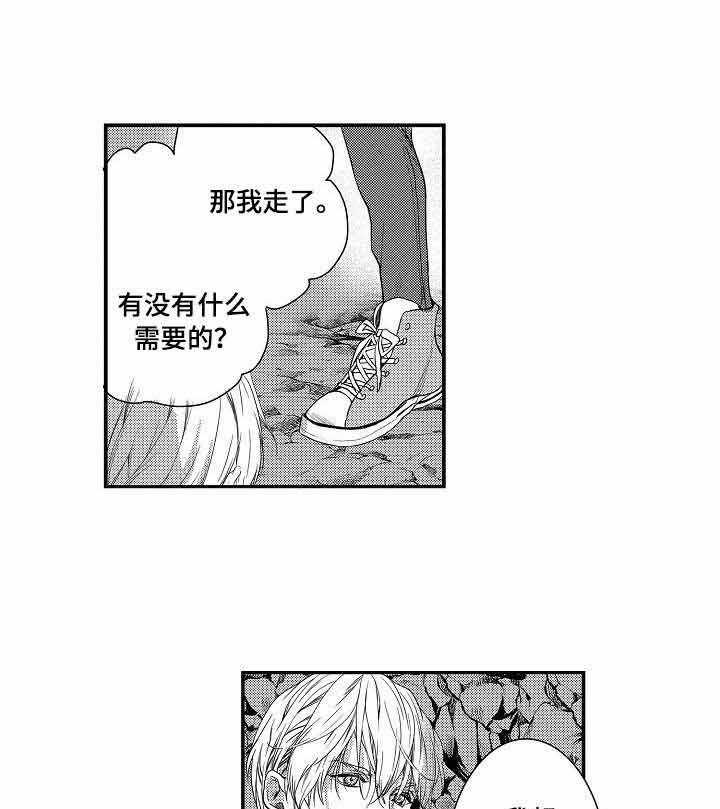 人鱼之约第12话图