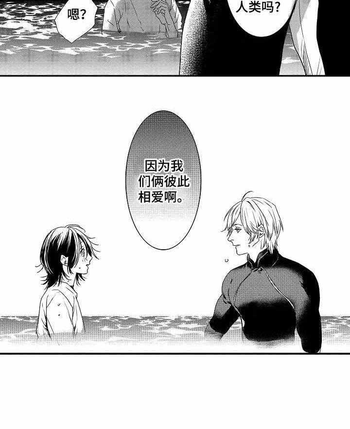 人鱼之约第23话图