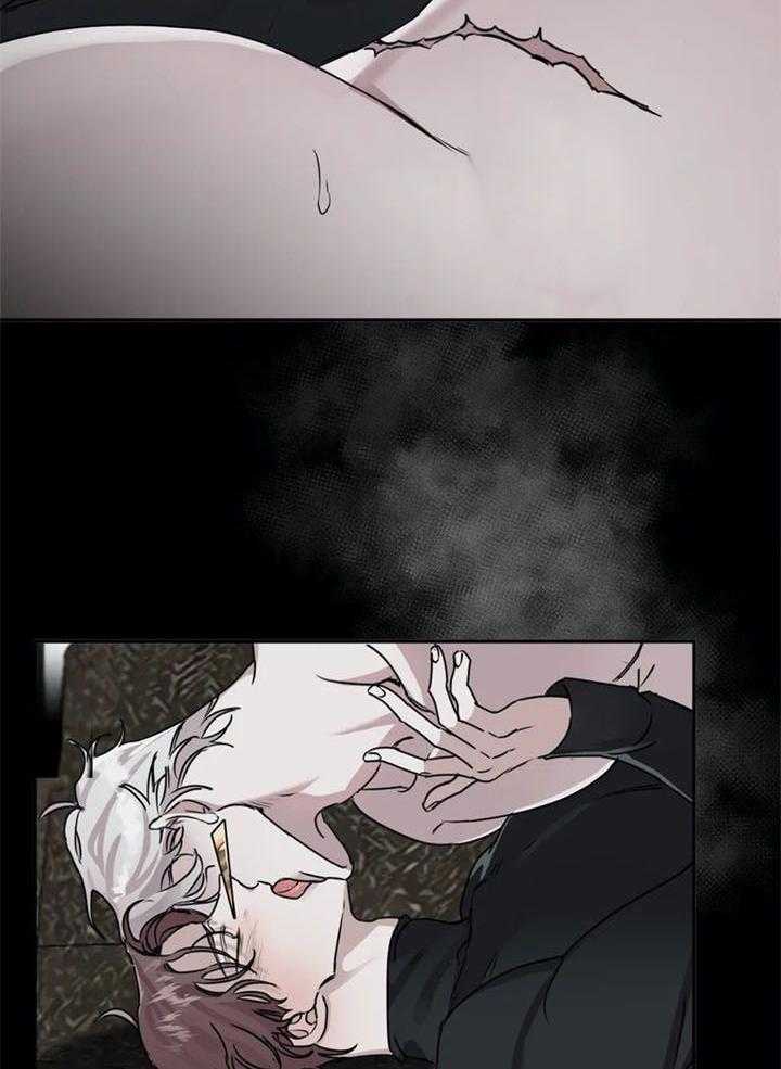 惹上大佬被囚了 第13话 第5页