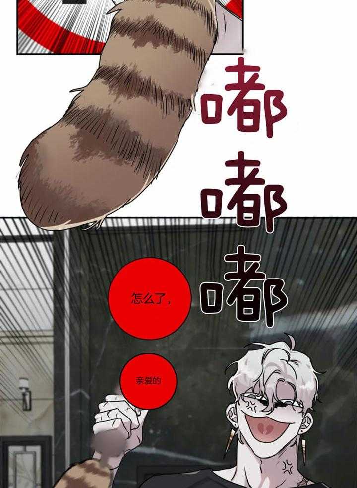 惹上大佬被囚了 第14话 第19页