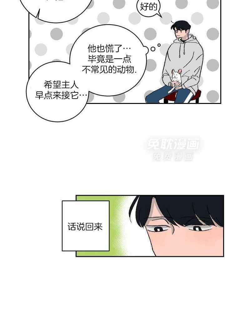 绒鼠奇遇记第3话图