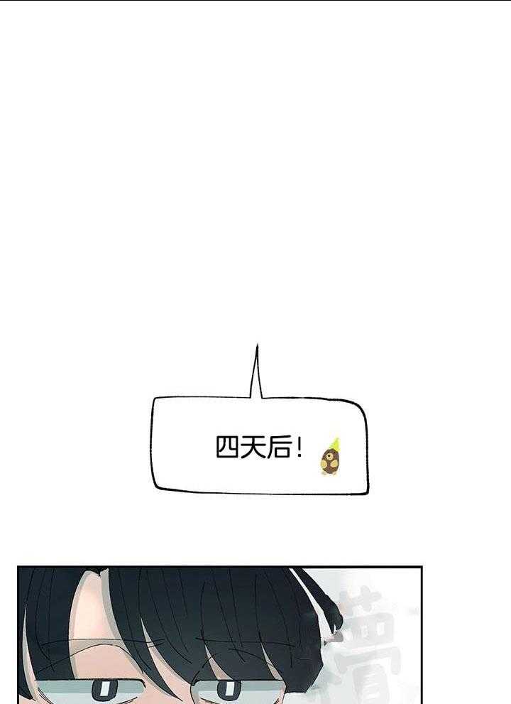 绒鼠奇遇记第34话图