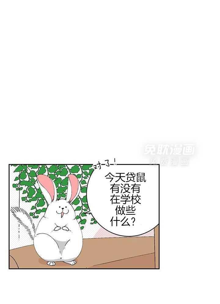 绒鼠奇遇记第38话图