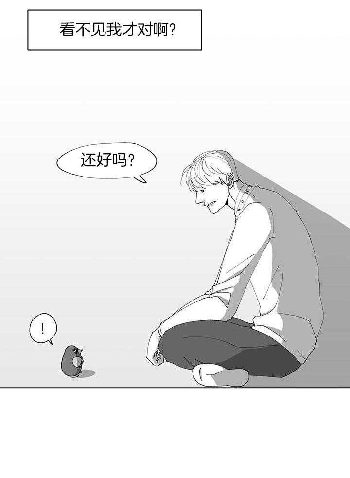 绒鼠奇遇记第41话图