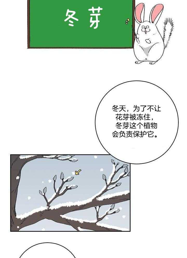 绒鼠奇遇记第48话图