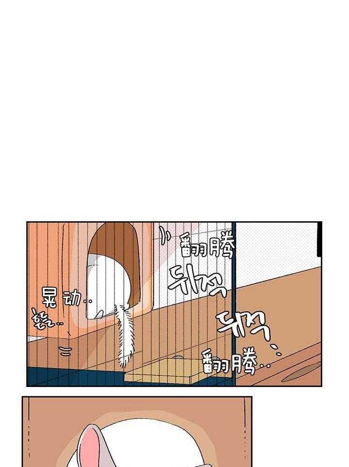 绒鼠奇遇记第56话图
