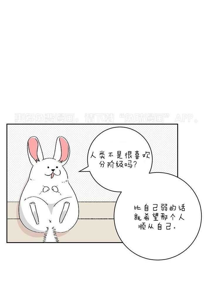 绒鼠奇遇记第58话图