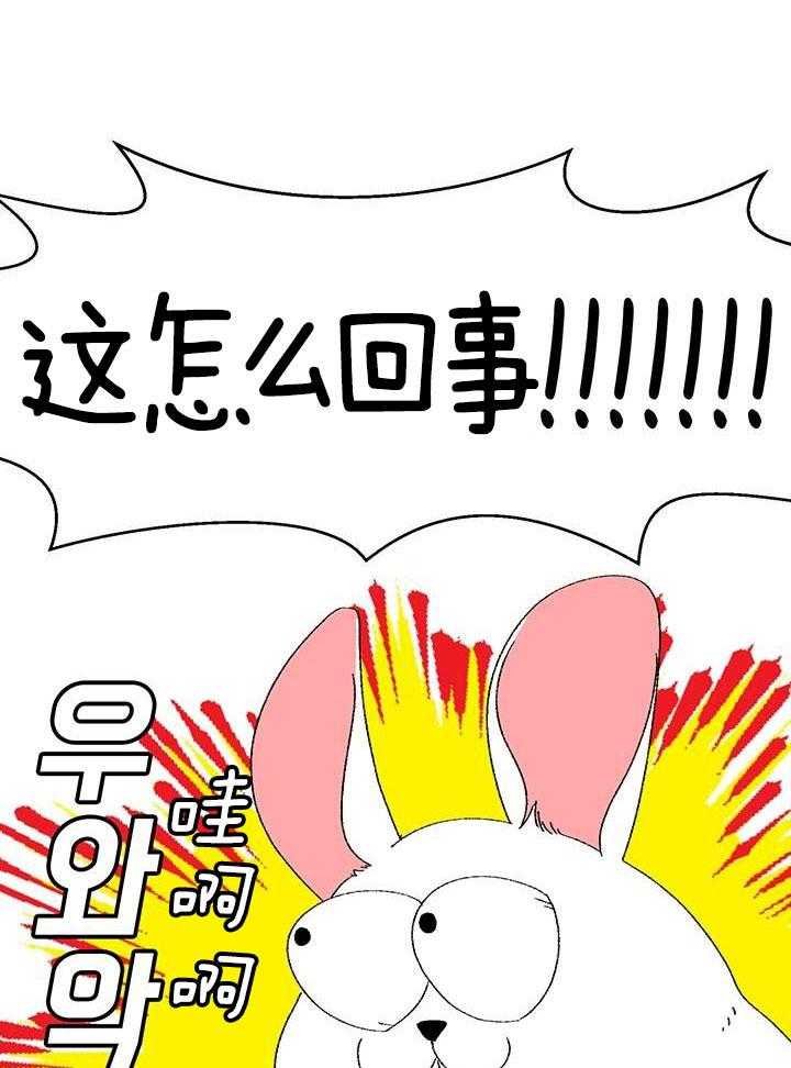 绒鼠奇遇记第85话图