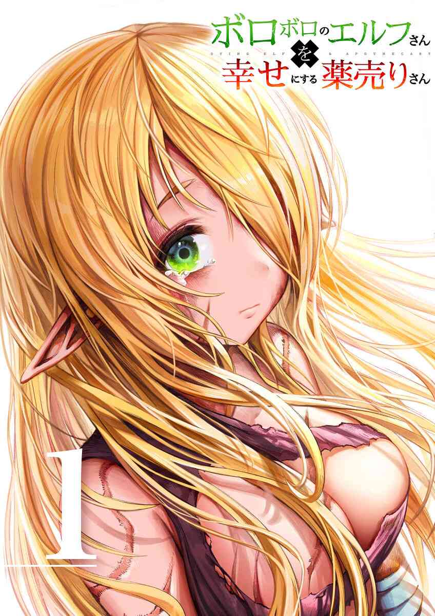 让破败精灵重获新生的药剂师先生 第29-46话 第0页