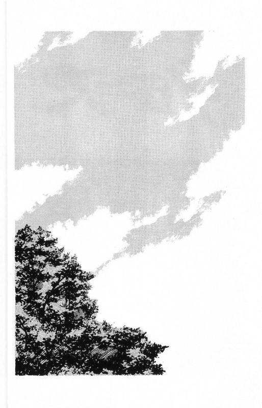 热血高校 18卷 第6页