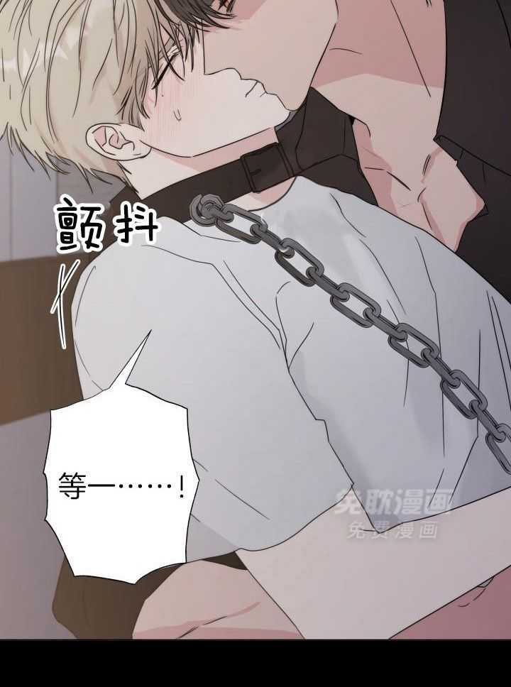 如何杀死爱漫画-图10