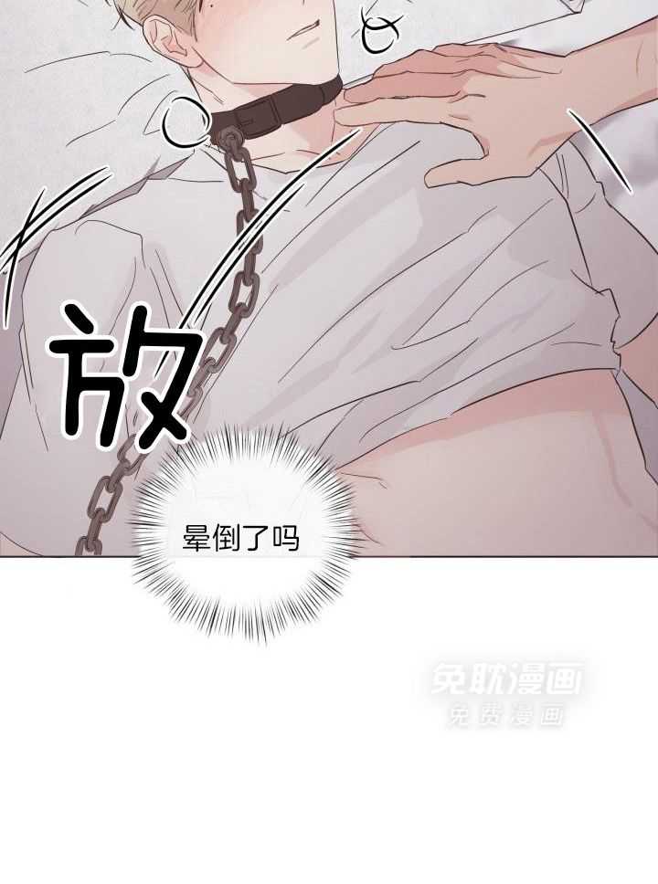 如何杀死爱漫画-图15