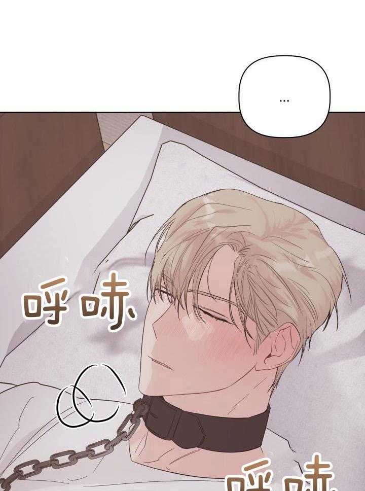 如何杀死爱漫画-图18