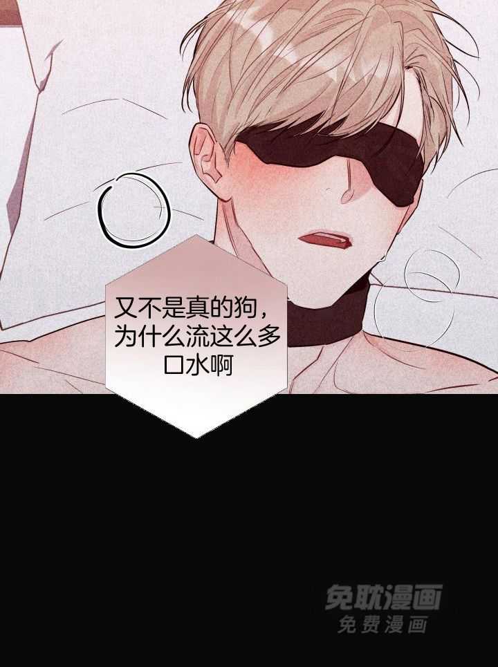 如何杀死爱漫画-图17