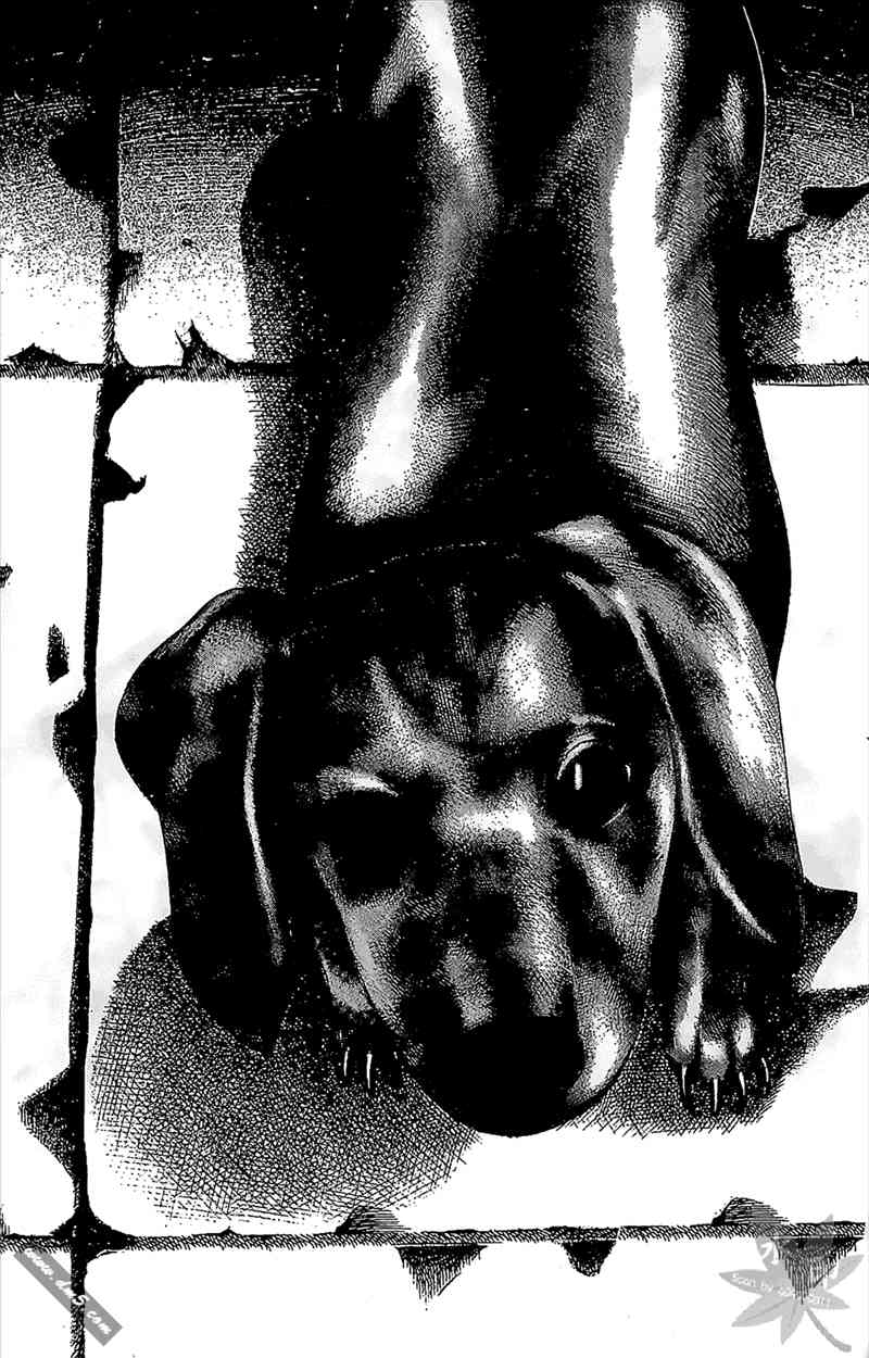 热狗 12卷 第64页