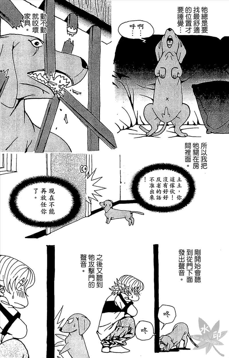 热狗 20卷 第163页