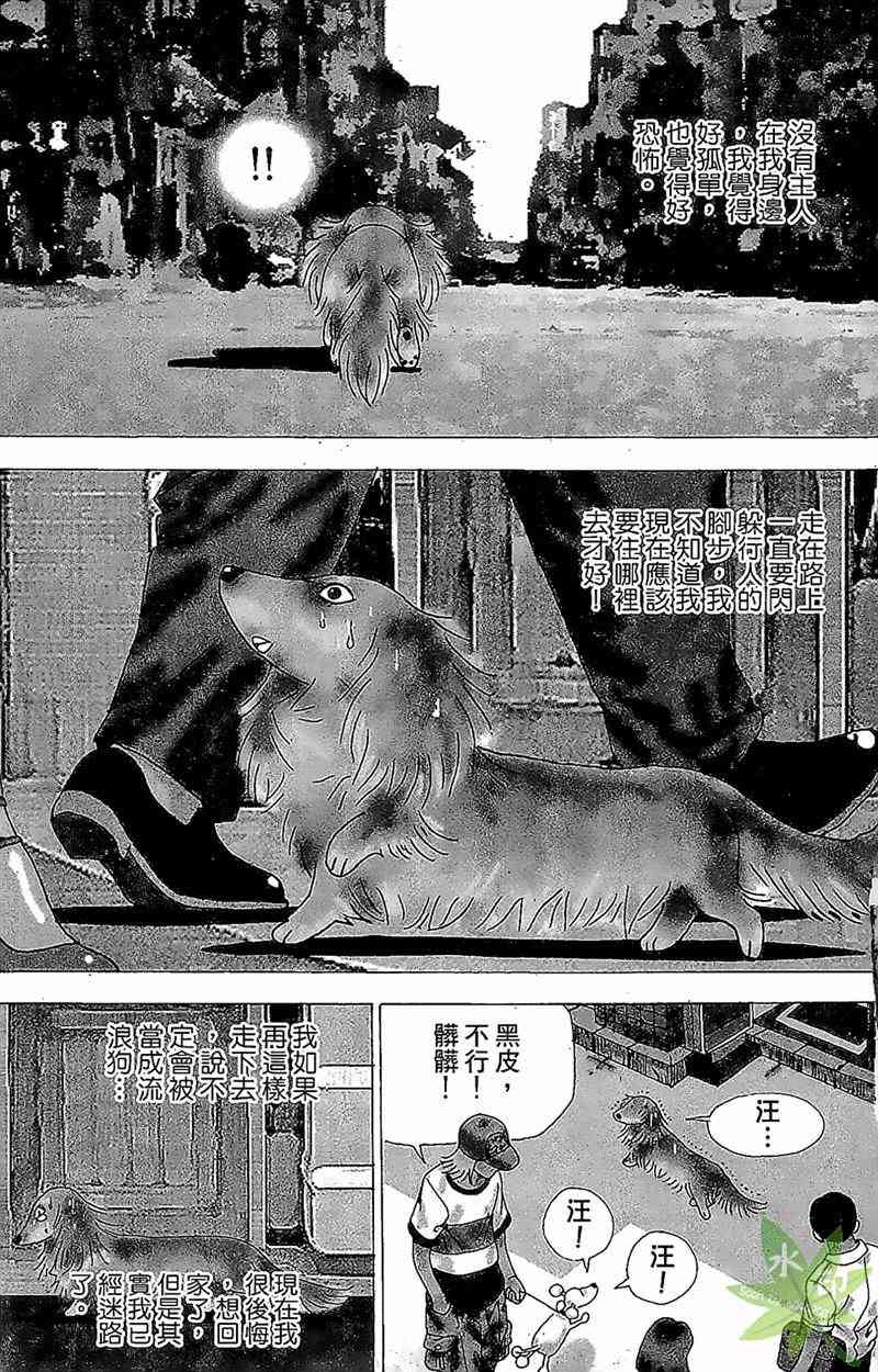 热狗 33卷 第156页