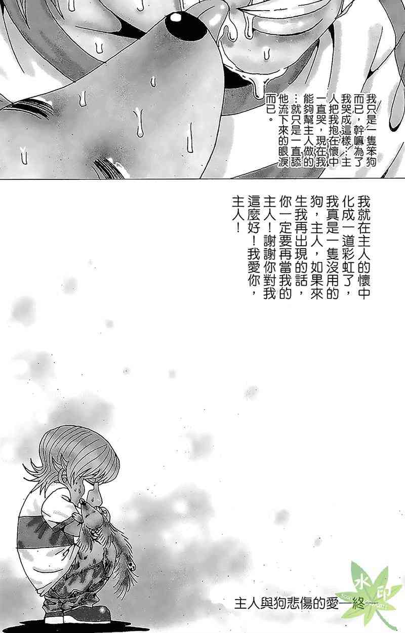 热狗 33卷 第161页