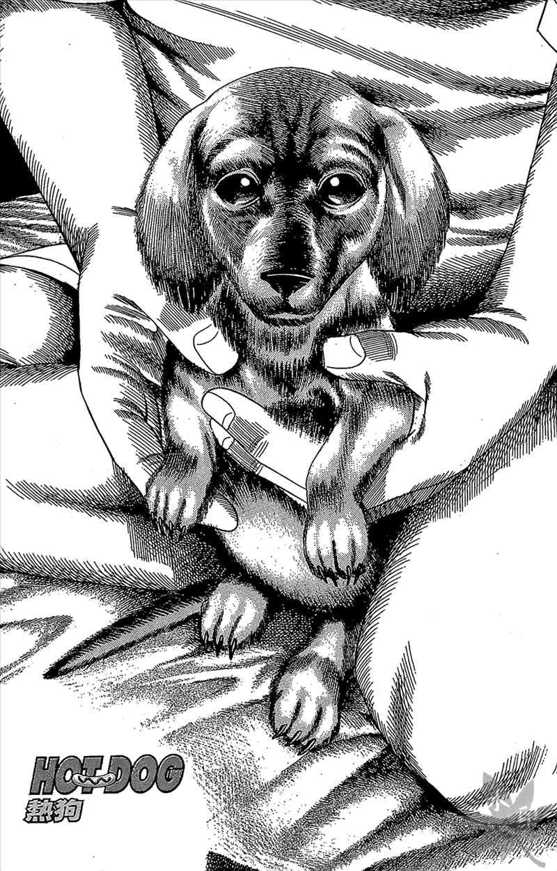 热狗 9卷 第42页