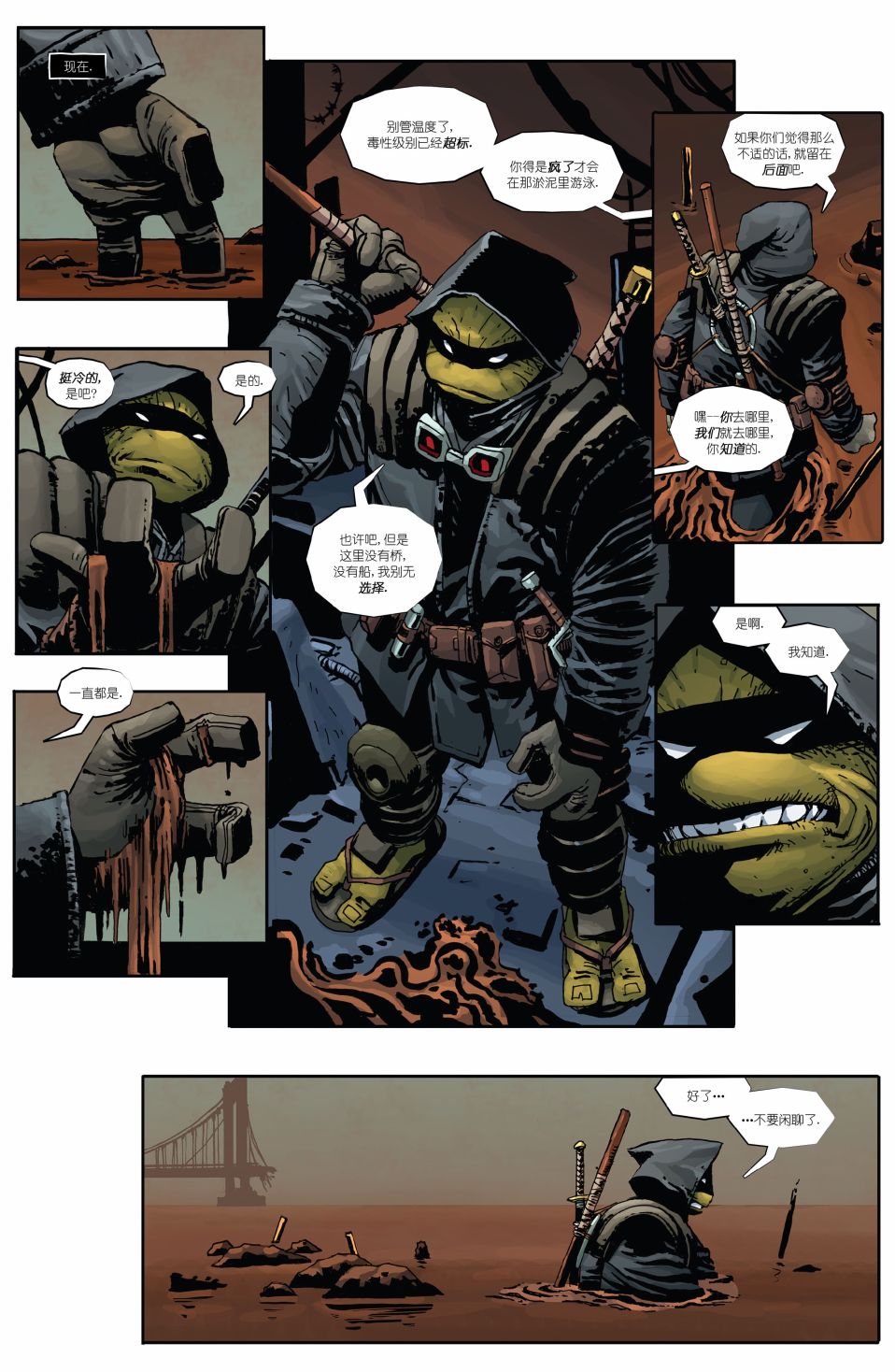 忍者神龟：最后的浪人 1卷 第2页