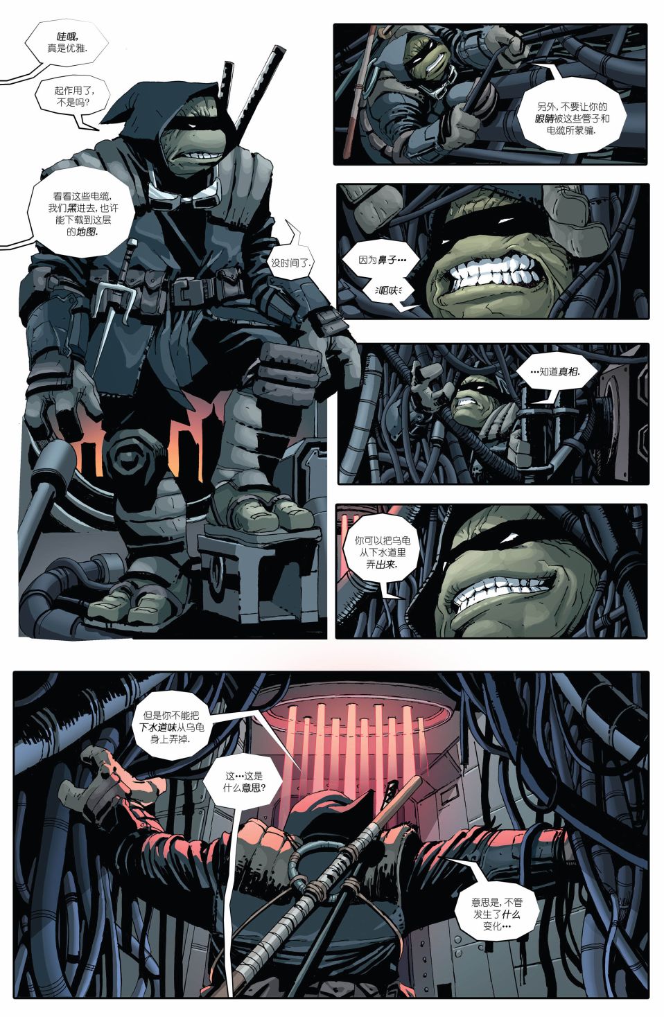 忍者神龟：最后的浪人 1卷 第11页