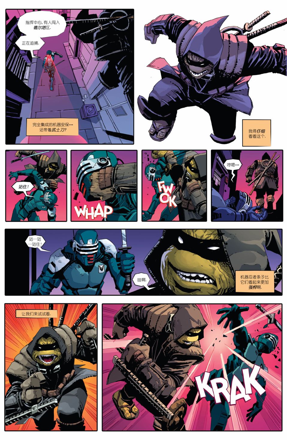 忍者神龟：最后的浪人 1卷 第13页