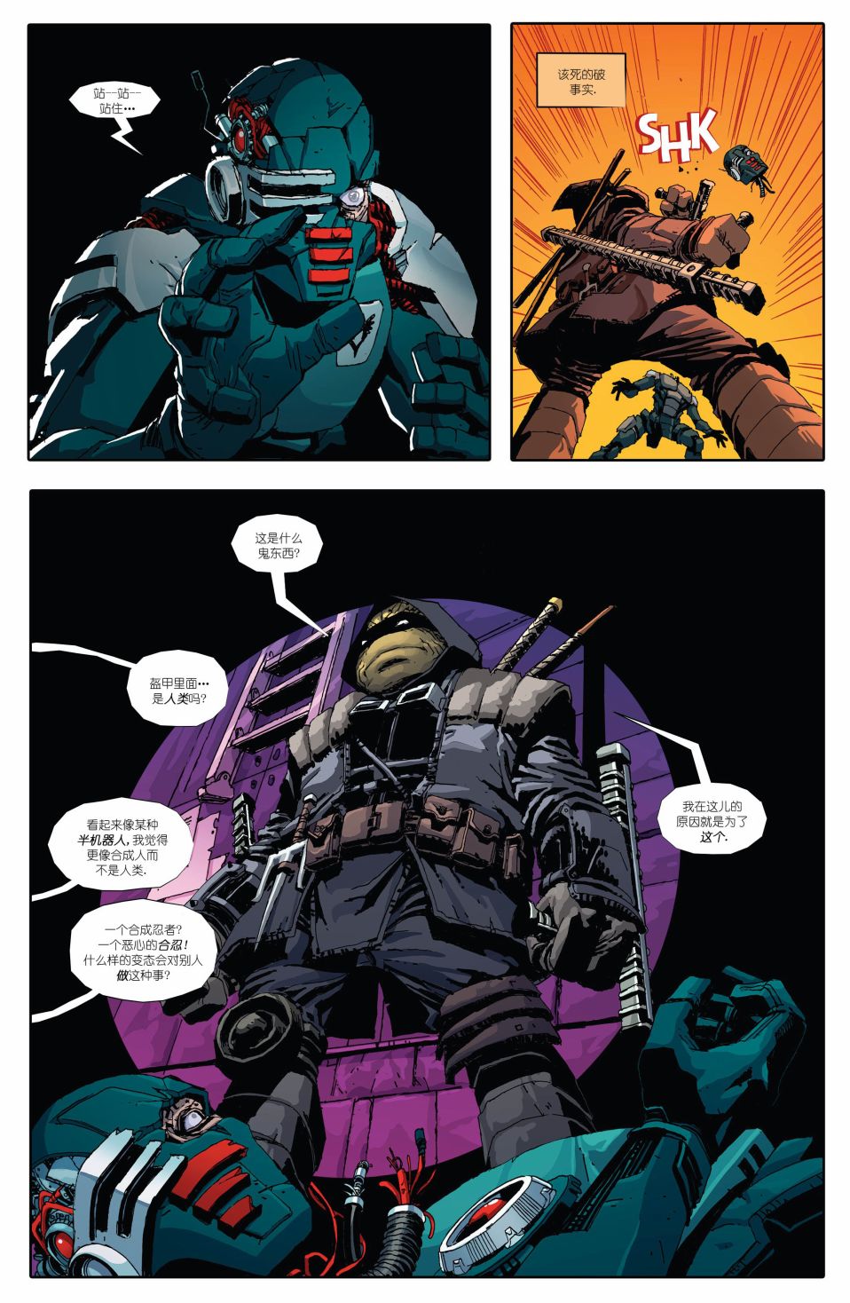 忍者神龟：最后的浪人 1卷 第14页