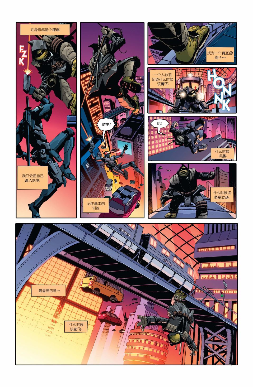 忍者神龟：最后的浪人 1卷 第17页