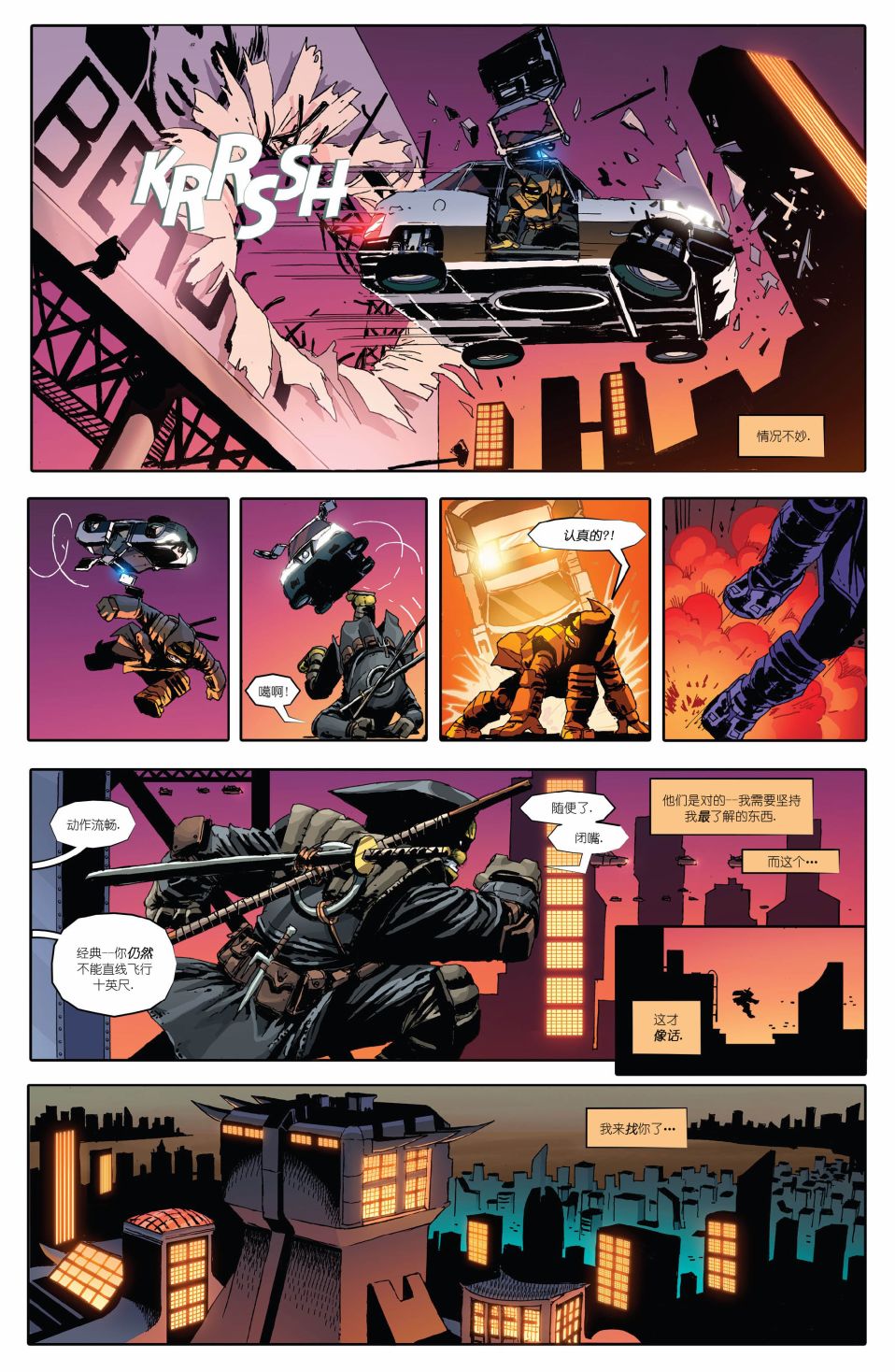 忍者神龟：最后的浪人 1卷 第19页