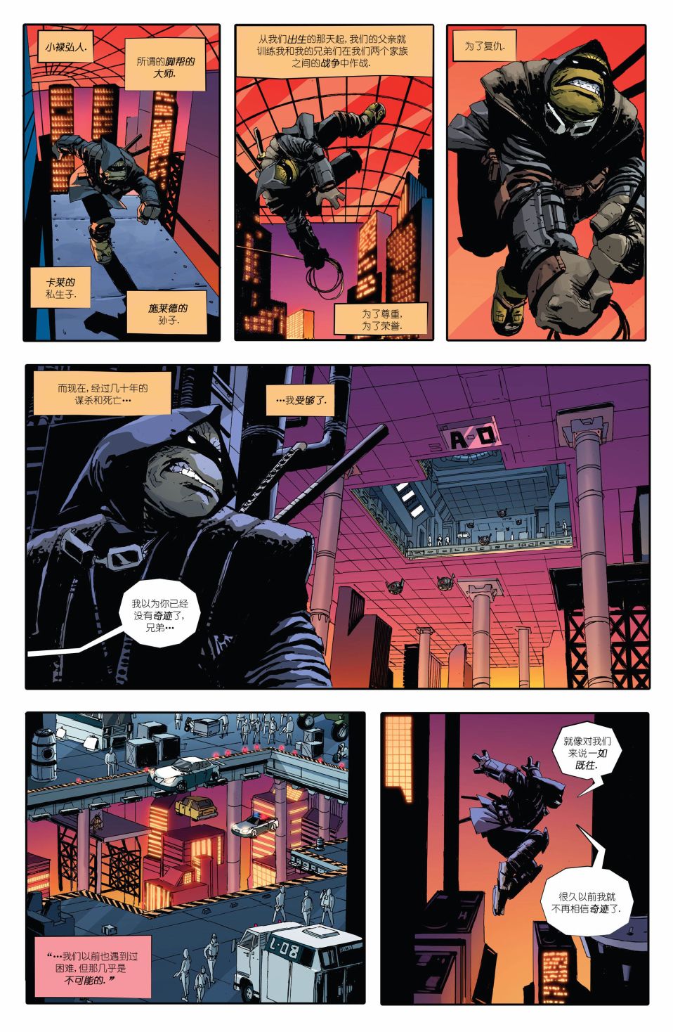 忍者神龟：最后的浪人 1卷 第21页