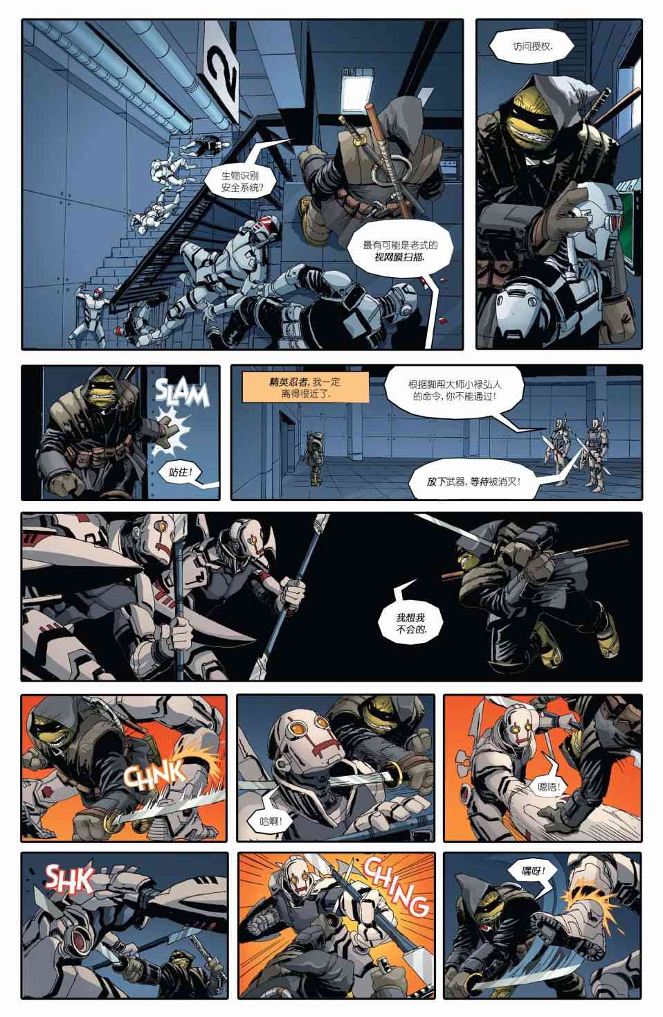 忍者神龟：最后的浪人 1卷 第27页