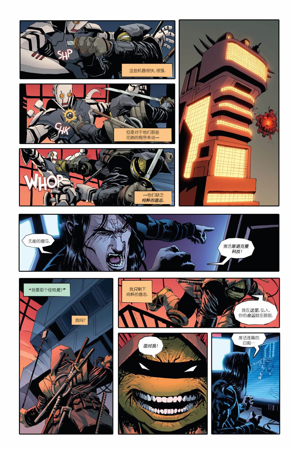 忍者神龟：最后的浪人 1卷 第28页