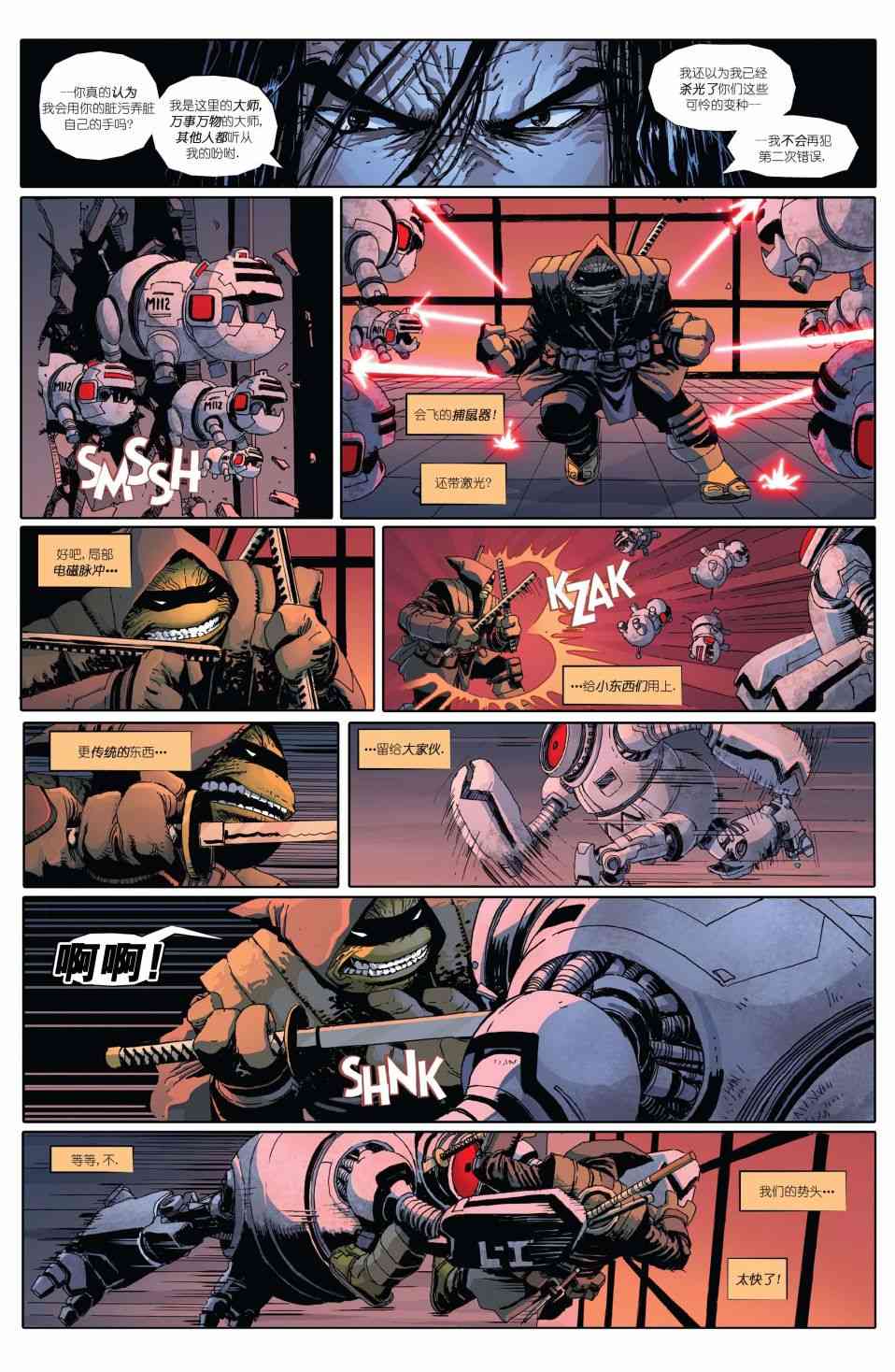 忍者神龟：最后的浪人 1卷 第29页