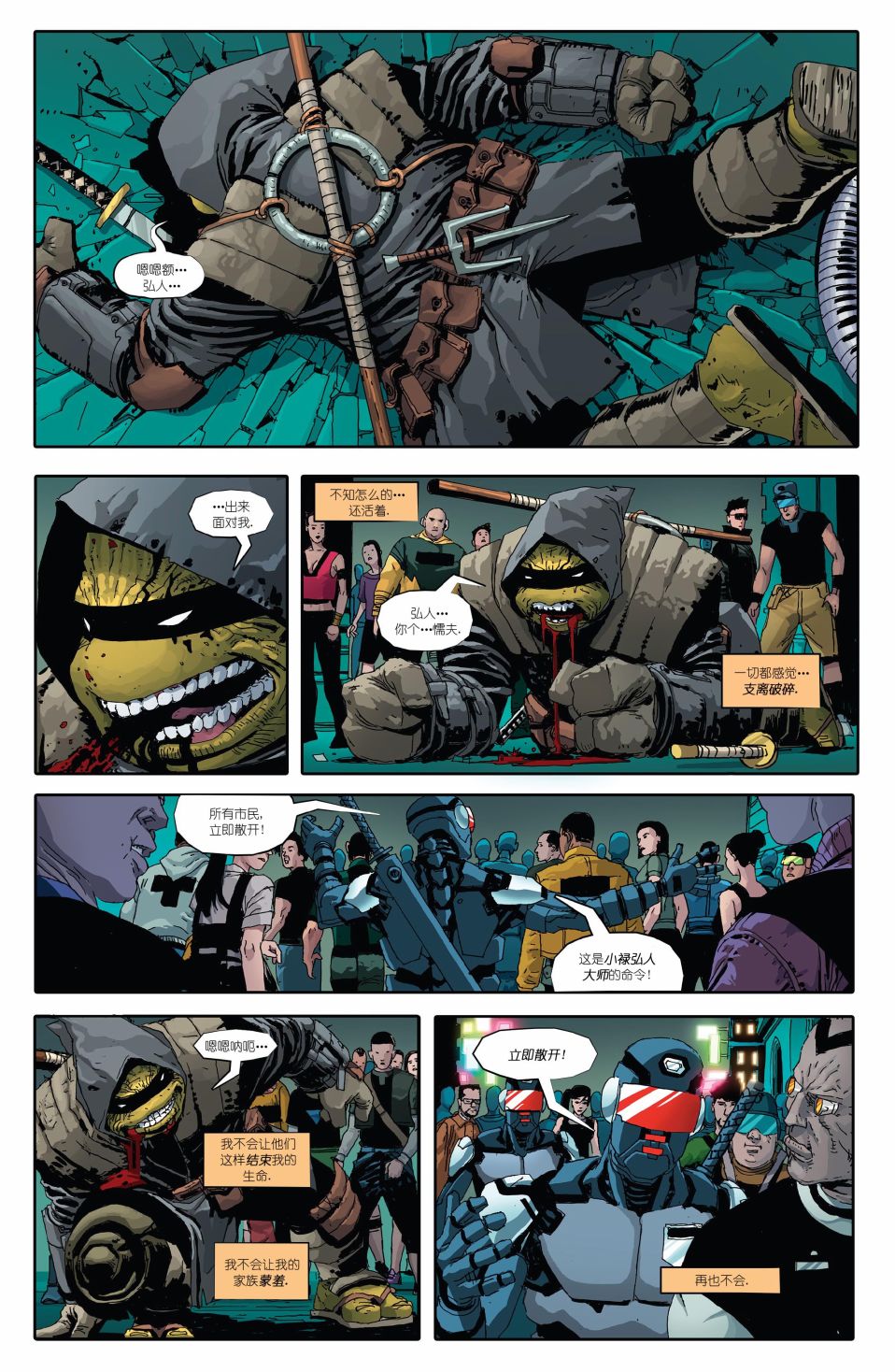 忍者神龟：最后的浪人 1卷 第31页