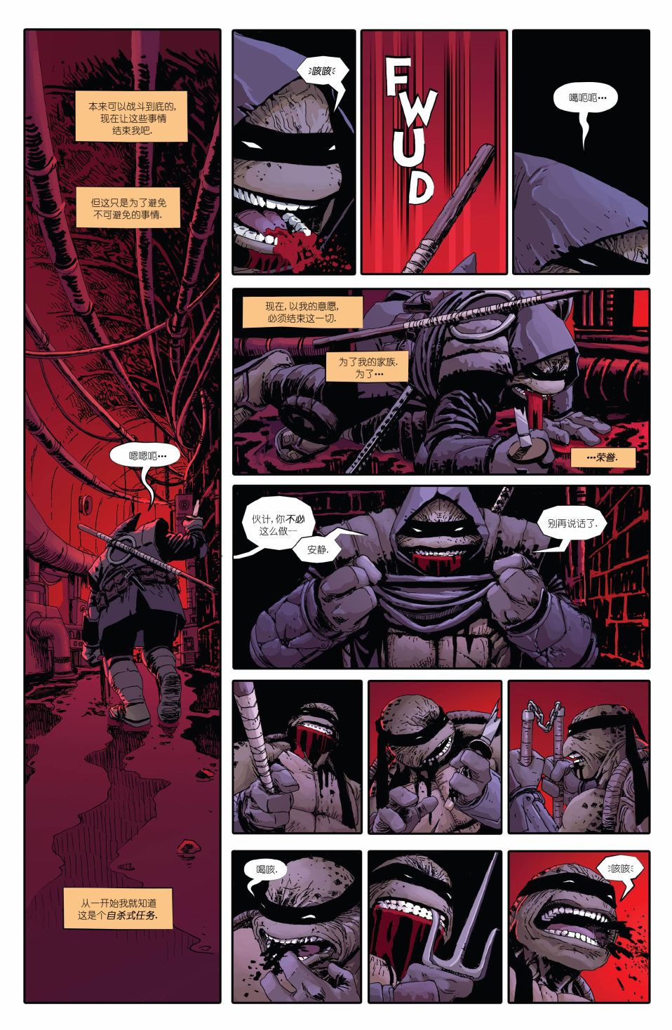 忍者神龟：最后的浪人 1卷 第34页