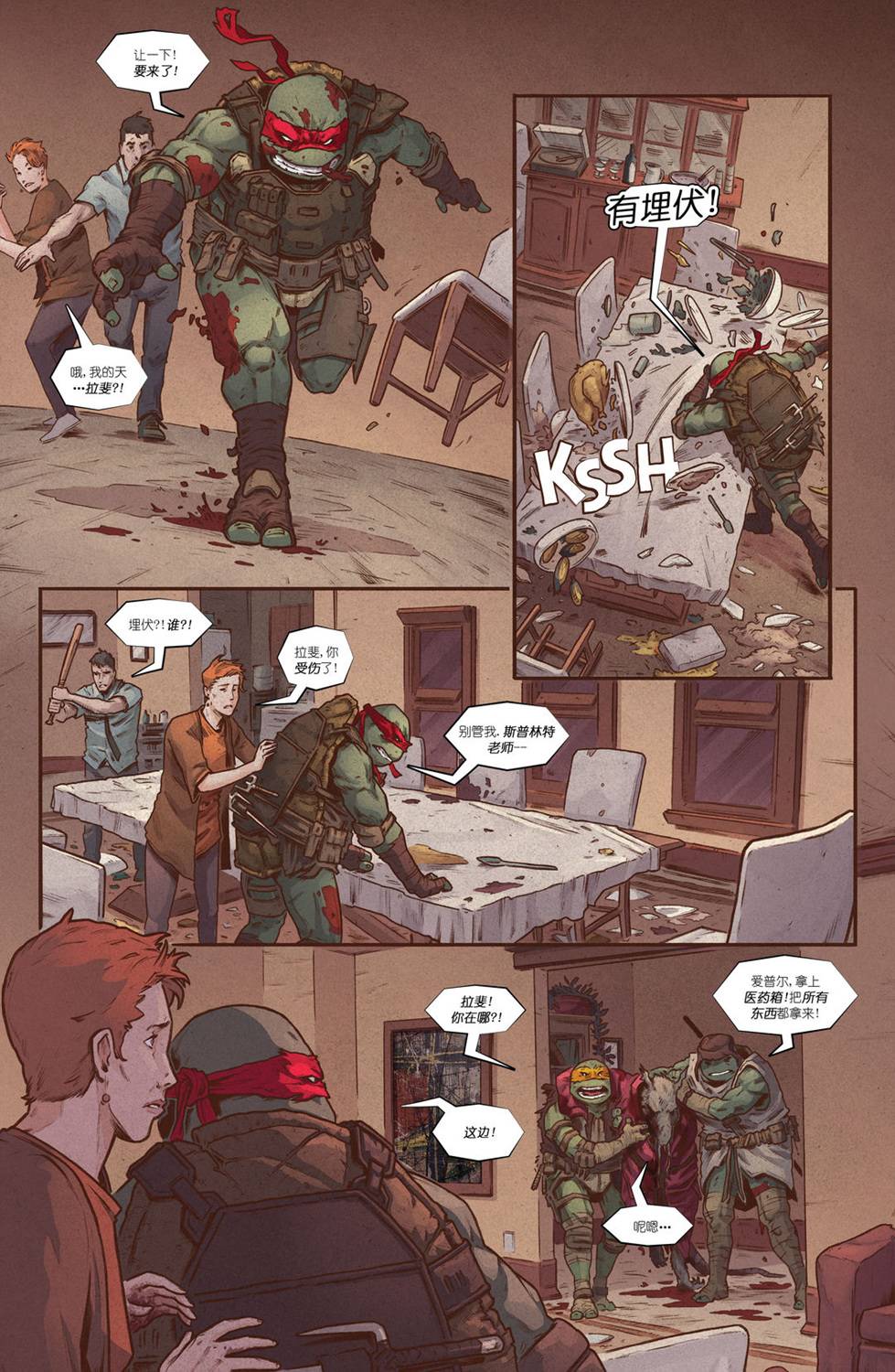 忍者神龟：最后的浪人 2卷 第4页