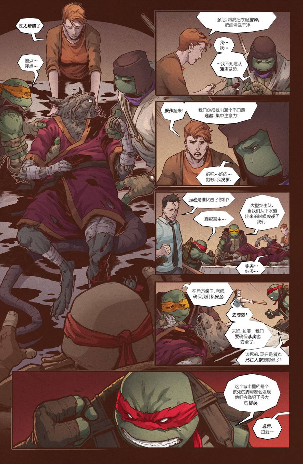 忍者神龟：最后的浪人 2卷 第6页