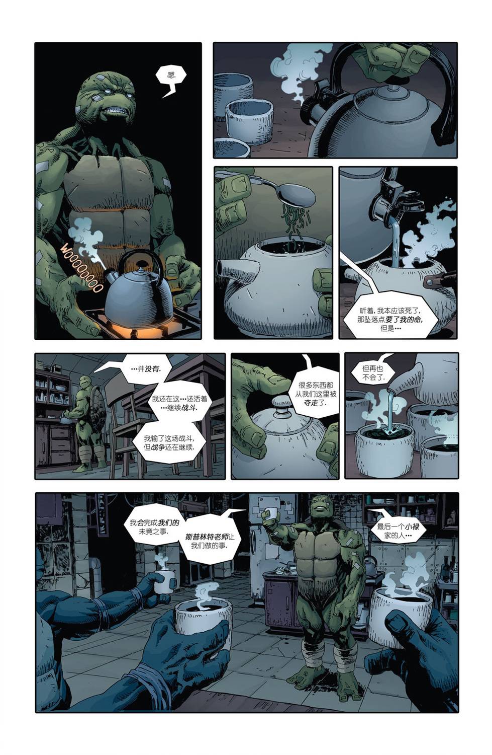 忍者神龟：最后的浪人 2卷 第12页