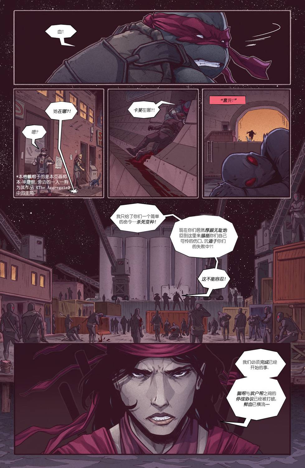 忍者神龟：最后的浪人 2卷 第14页