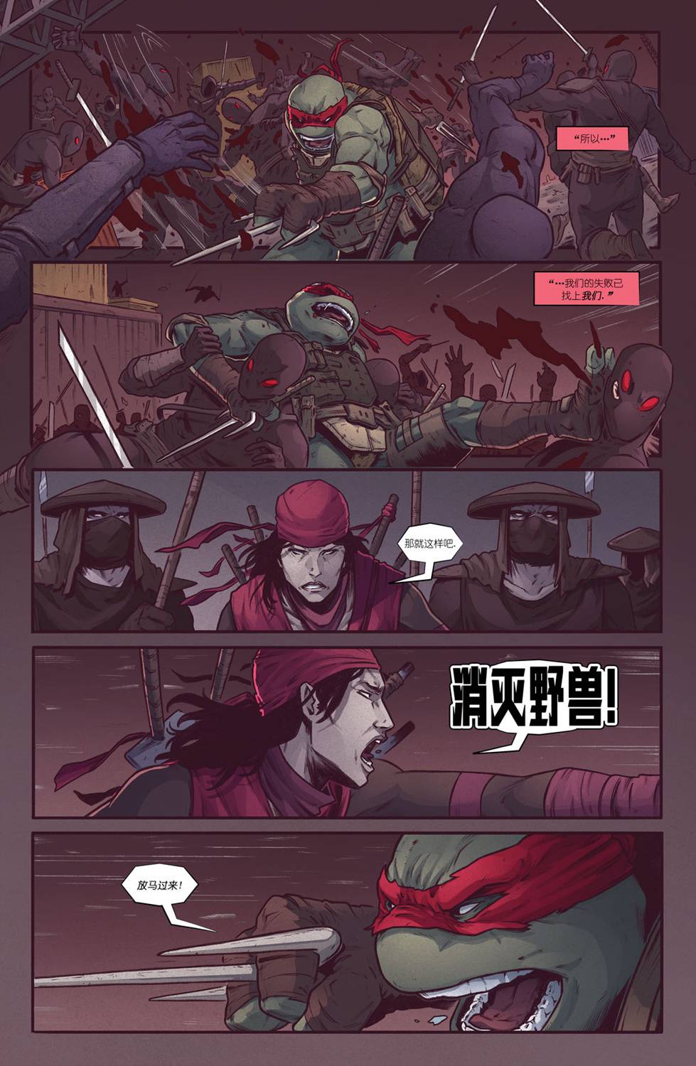 忍者神龟：最后的浪人 2卷 第16页