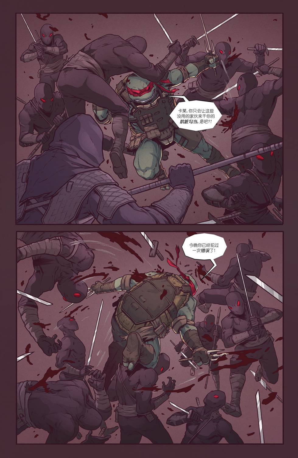 忍者神龟：最后的浪人 2卷 第17页