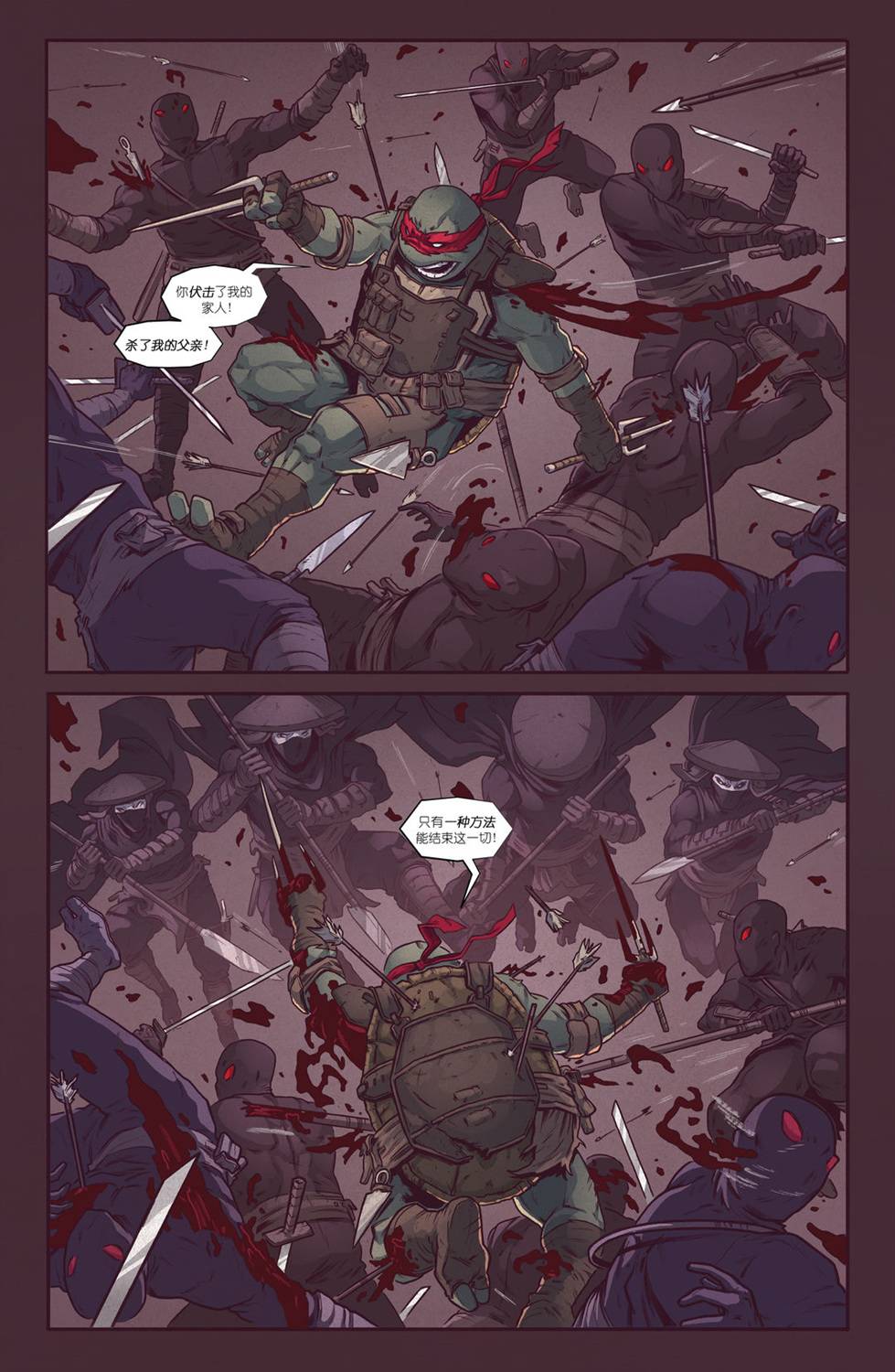 忍者神龟：最后的浪人 2卷 第18页