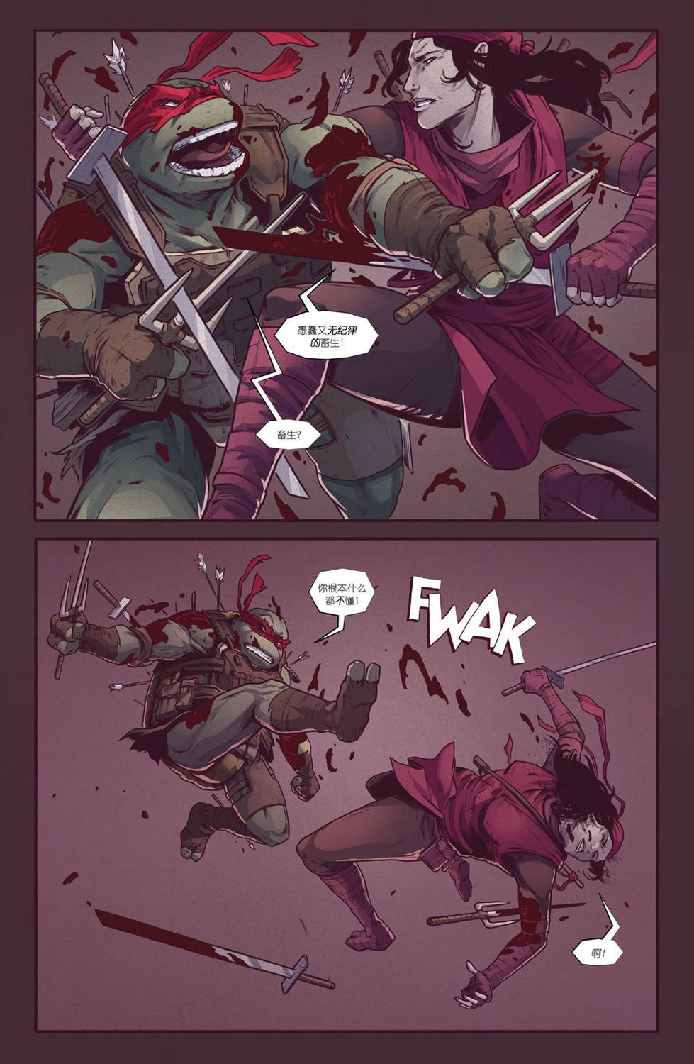 忍者神龟：最后的浪人 2卷 第20页